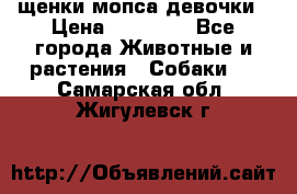 щенки мопса девочки › Цена ­ 25 000 - Все города Животные и растения » Собаки   . Самарская обл.,Жигулевск г.